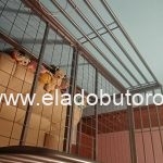 20201029_184536