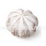 Amapola 452BL fogantyú