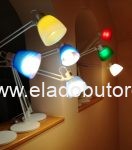 IMG_20250308_121242